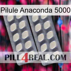 Anaconda 5000 Pill 07